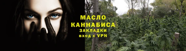 гашик Краснослободск