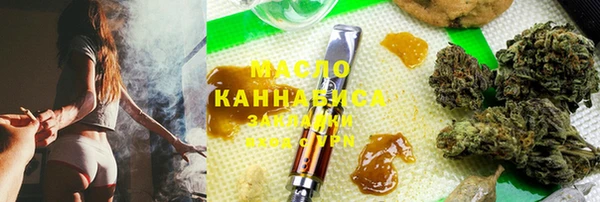гашик Краснослободск