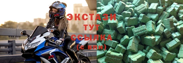 гашик Краснослободск