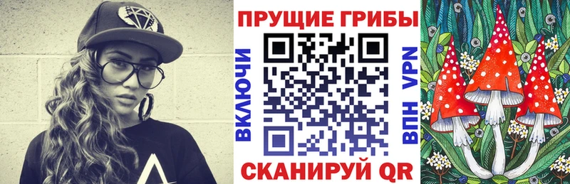 закладка  Куртамыш  Псилоцибиновые грибы прущие грибы 